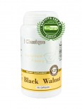 Black Walnut ( )